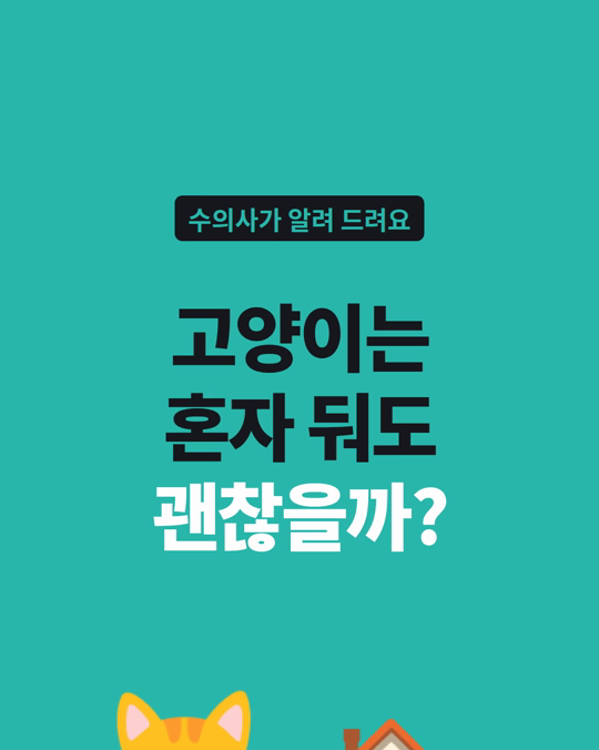 고양이는 혼자 둬도 괜찮을까요?