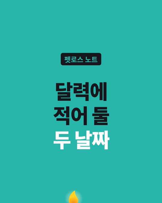 떠나보낸 아이, 달력에 어떤 날을 적어 두셨나요?