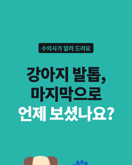 강아지 발톱, 병원에서 깎는 개는 얼마나 될까요?