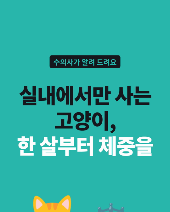 실내에서만 사는 고양이, 언제부터 체중을 봐야 할까요?