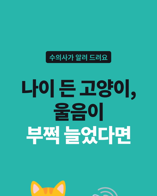 나이 든 고양이의 울음이 부쩍 늘었다면, 인지기능장애를 떠올리기 전에 병원 확인부터 해 주세요.