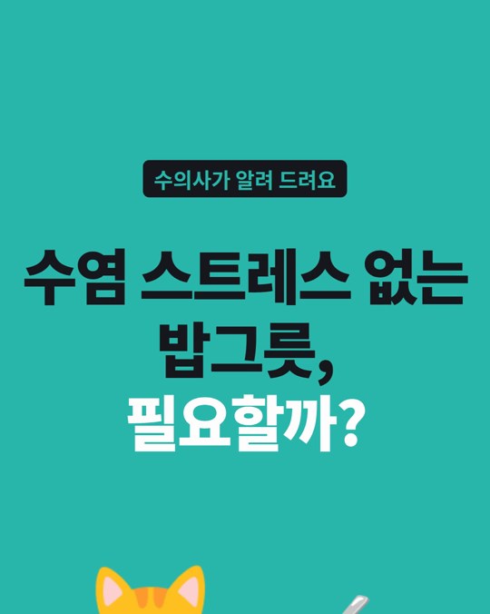 「수염 스트레스 없는 밥그릇」, 정말 필요할까요?
