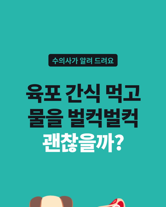 육포 간식 먹고 물을 벌컥벌컥 마셔요, 괜찮을까요?