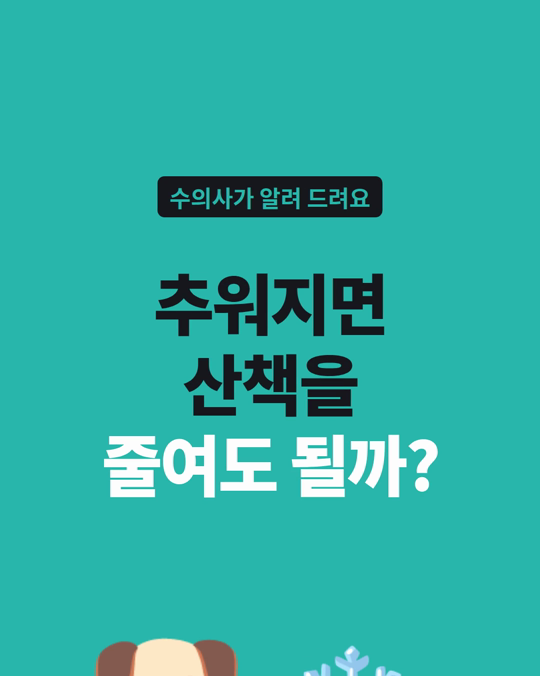 추워지면 강아지 산책, 줄여도 될까요?