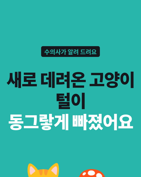 새로 데려온 고양이 털이 동그랗게 빠졌어요.