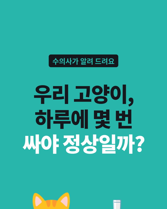 우리 고양이, 하루에 몇 번 똥을 싸야 정상일까요?