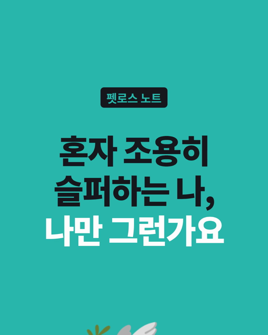 반려동물을 보내고 혼자 조용히 슬퍼하는 나, 나만 그런가요?