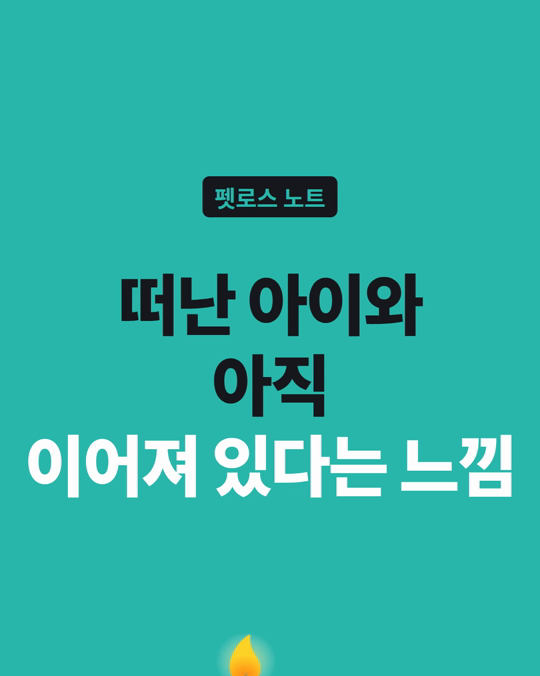 떠난 아이와 아직 이어져 있다고 느끼는 것, 괜찮은 걸까요?