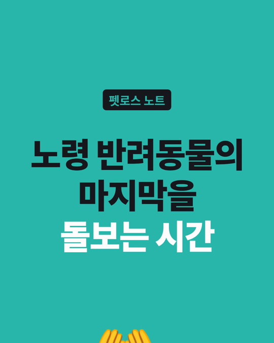 노령 반려동물의 마지막을 돌보는 시간 — 한국 보호자 24명의 이야기