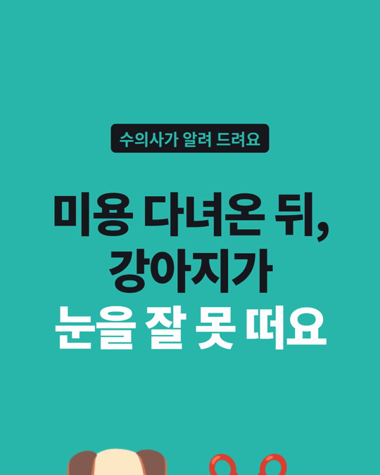 미용 다녀온 뒤, 강아지가 눈을 잘 못 떠요.