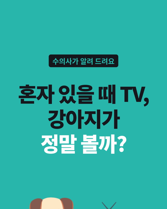 혼자 있을 때 TV 틀어 주면, 강아지가 정말 볼까요?