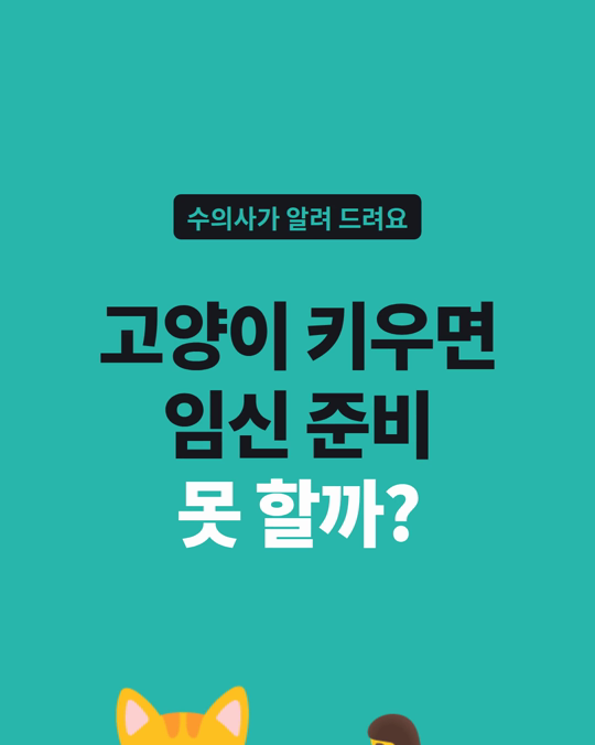 고양이 키우면 임신 준비 못 하나요?