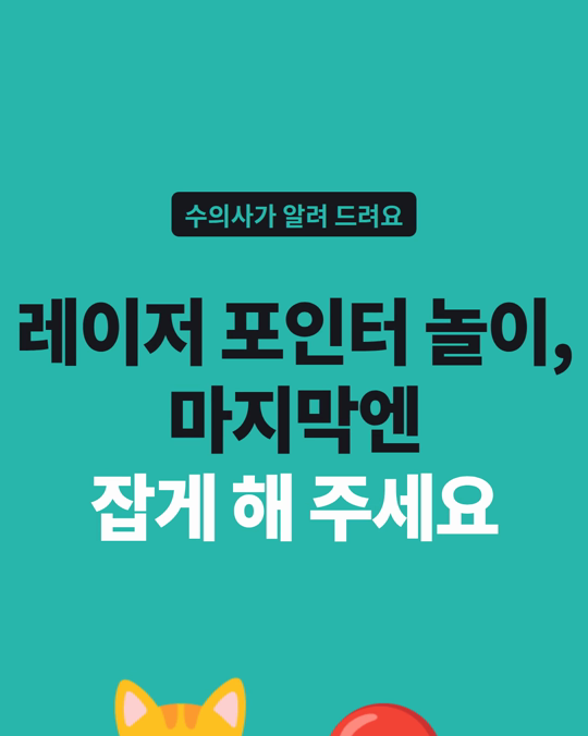 레이저 포인터로 놀아 줘도 될까요?