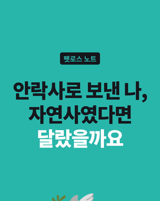 안락사로 보낸 나, 자연사였다면 달랐을까요?