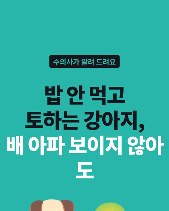 밥 안 먹고 토하는 강아지, 배를 아파하는 것처럼 보이지 않으면 괜찮을까요?