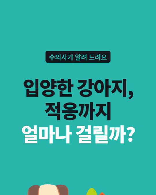 입양한 강아지, 적응까지 얼마나 걸릴까요?