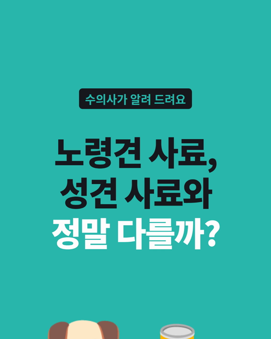 노령견 사료, 성견 사료와 정말 다를까요?