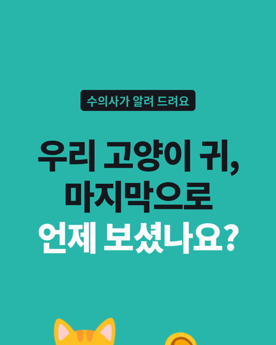 우리 고양이 귀, 마지막으로 언제 보셨나요?