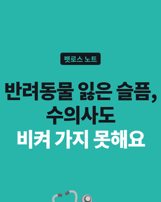 반려동물을 잃은 슬픔, 수의사도 비켜 가지 못합니다.