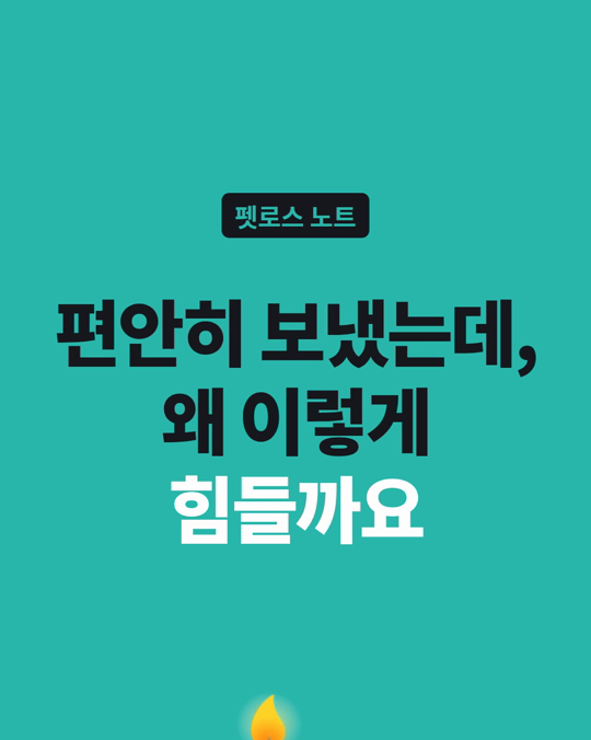 편안히 보냈는데, 왜 이렇게 힘들까요?