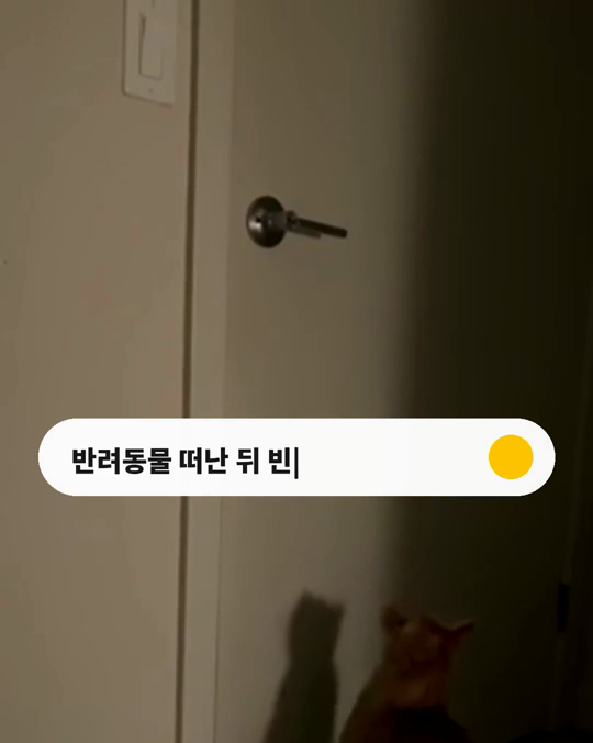 문을 열어도 반겨 줄 아이가 없을 때