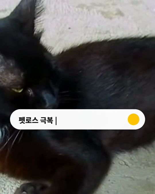 먼저 겪은 보호자들이 꼽은 「도움이 된 것」