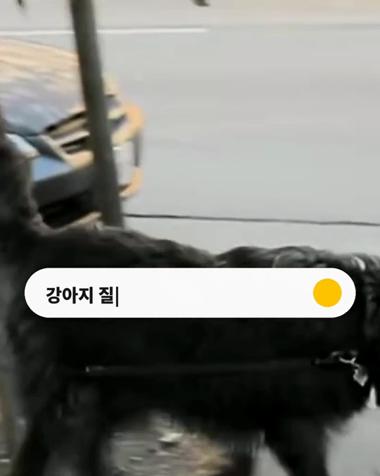 강아지도 질투를 할까요?