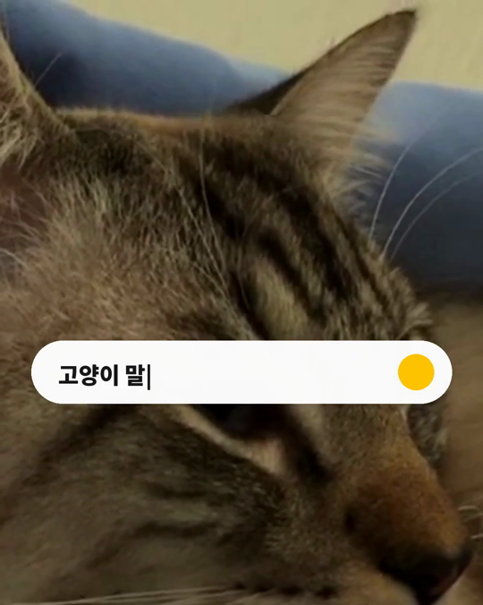 고양이에게 하는 말투, 고양이는 구별할까요?