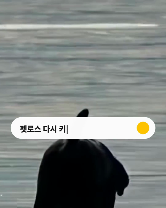 반려동물을 떠나보낸 뒤, 다시 키울지 고민되시나요?