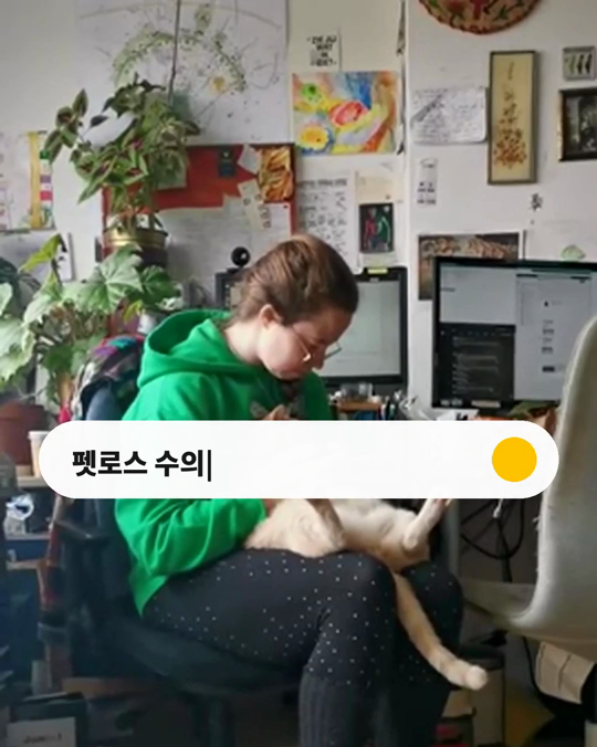 동물병원에서 반려동물을 떠나보낸 뒤, 담당 수의사에게 묻지 못한 것이 남아 있나요?