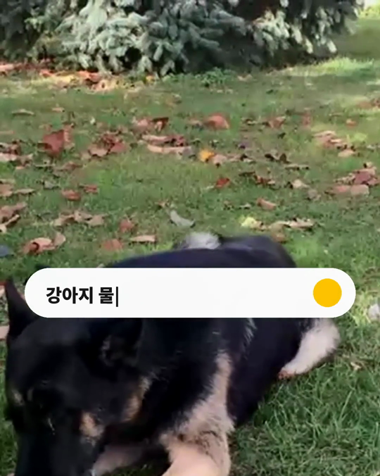 강아지에게 물리는 순간, 언제가 가장 많을까요?