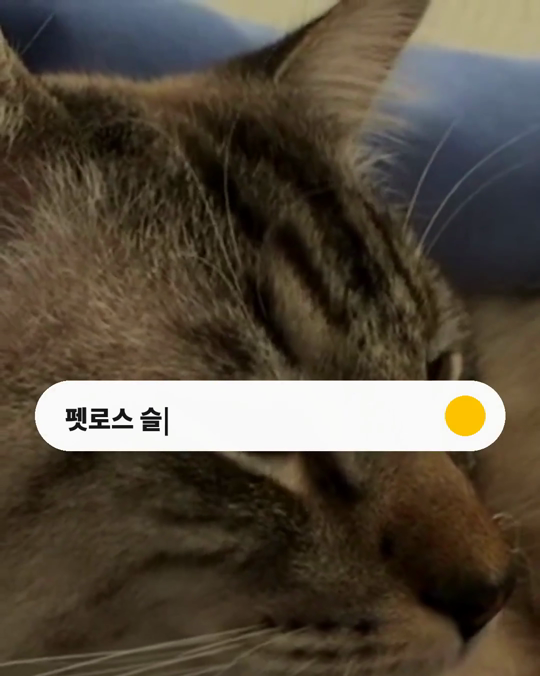 반려동물과의 이별이 가장 힘든 이별이었다는 사람들이 있습니다.