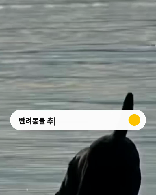 떠난 강아지에게 부고를 쓰는 사람들이 있습니다.