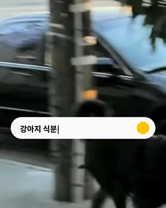 똥을 먹는 강아지, 장 건강은 괜찮을까요?