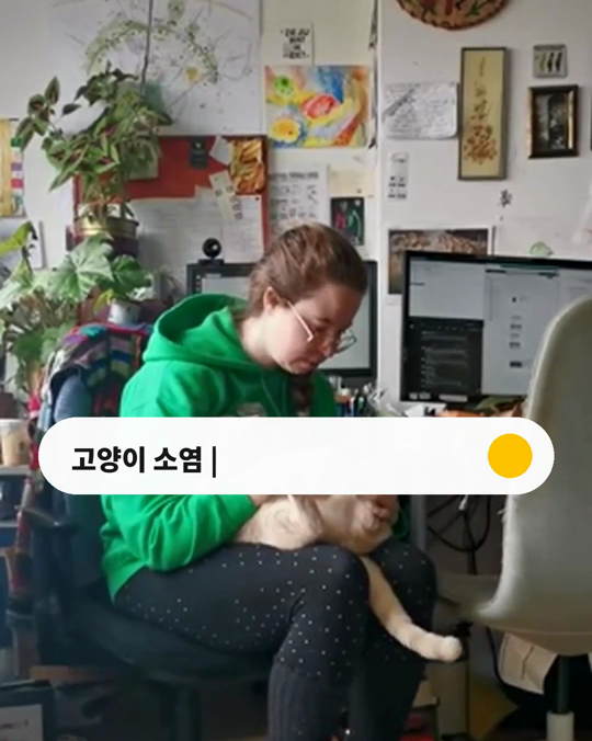 보호자가 바른 소염진통 크림, 고양이에게 위험할 수 있습니다.