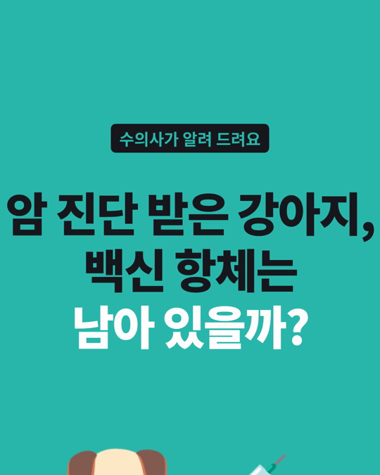 암 진단을 받은 강아지, 기본 백신 항체는 남아 있을까요?