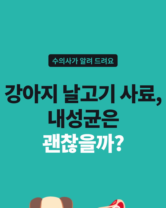 강아지 날고기 사료(생식)와 항생제 내성균, 수의사와 보호자는 다르게 봤습니다.