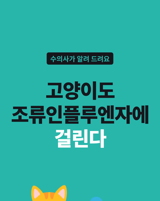 고양이도 조류인플루엔자(H5N1)에 걸립니다.