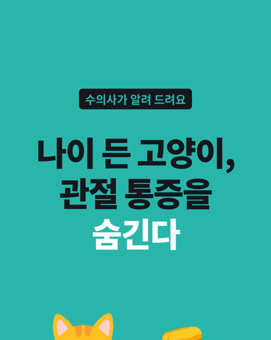 나이 든 고양이의 관절 통증, 치료하면 달라질 수 있습니다.