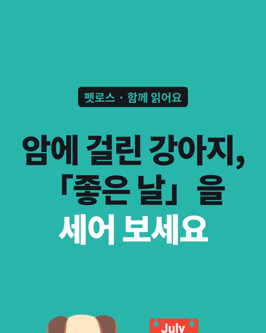 암에 걸린 강아지, 보호자들이 결정의 기준으로 삼은 것은 「좋은 날」이었습니다.