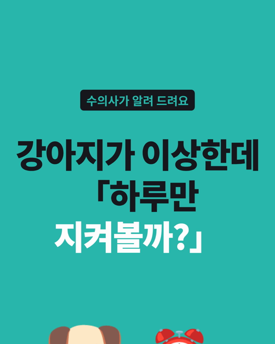강아지 응급 신호, 보호자는 수의사보다 덜 급하게 봤습니다.