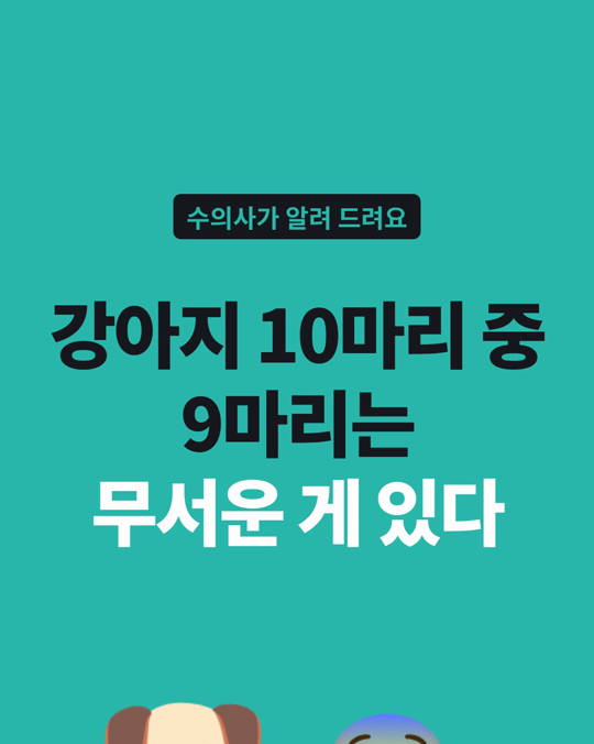 강아지 10마리 중 9마리는 무언가를 무서워합니다.