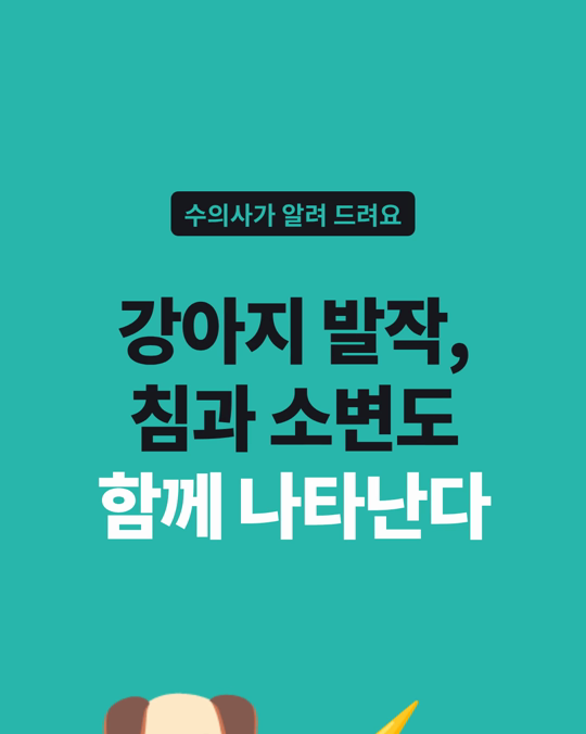 강아지 발작, 침 흘림과 소변 실수도 함께 나타납니다.