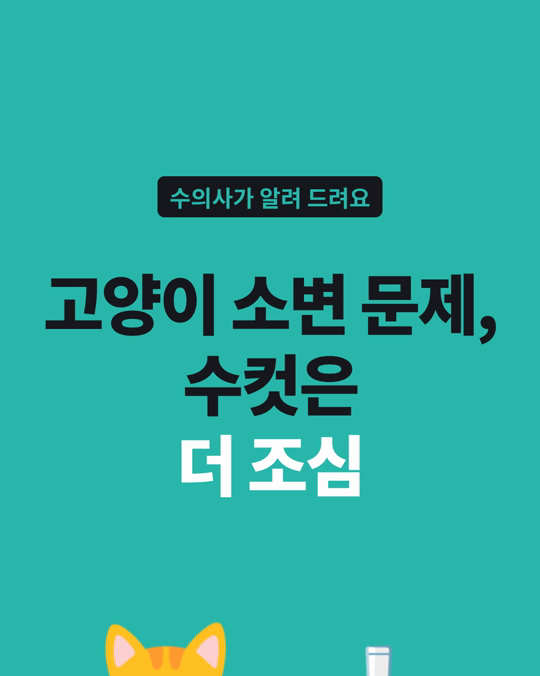 고양이 소변 문제, 수컷 고양이는 더 조심해야 합니다.
