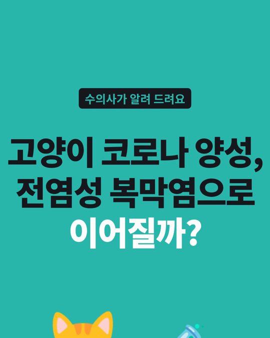 고양이 장 코로나바이러스 양성, 전염성 복막염(FIP)으로 이어진 경우는 드물었습니다.