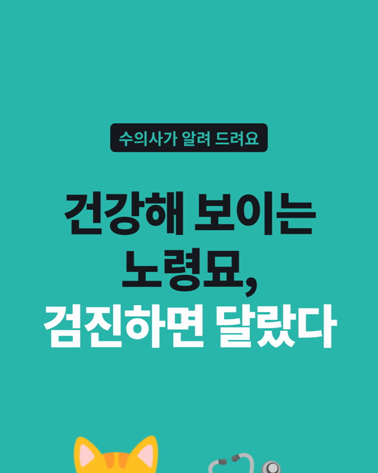 건강해 보이는 노령묘도, 검진하면 문제가 나옵니다.