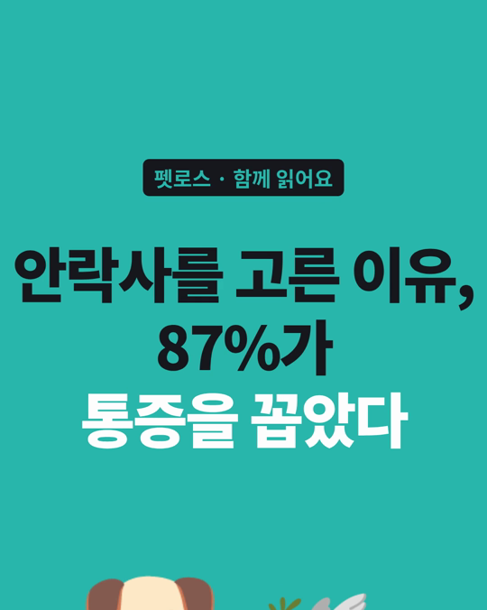 반려견 안락사, 보호자 87%가 「통증과 고통」을 이유로 꼽았습니다.