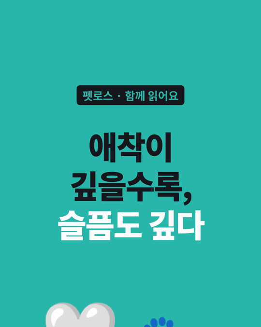 반려동물을 보낸 슬픔, 애착이 깊을수록 깊었습니다.
