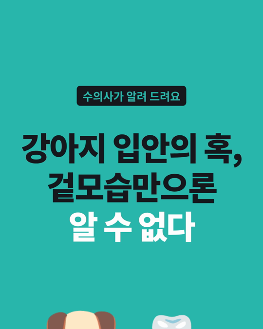 강아지 입안의 혹, 겉모습만으로는 알 수 없습니다.