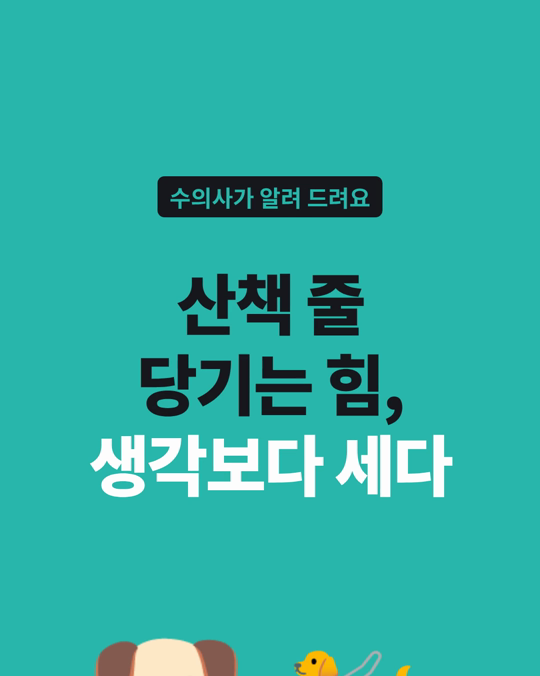 산책 줄을 당기는 힘, 생각보다 셉니다.